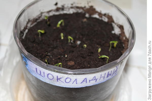 10 марта