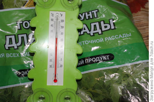 Грунт " Агроном" использую для посева всех тестируемых семян