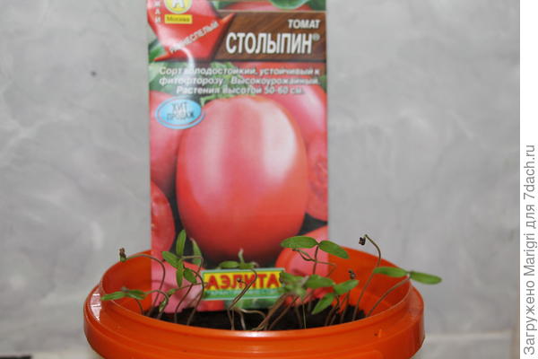 Столыпин 14 марта