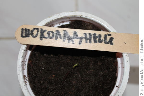 10 марта