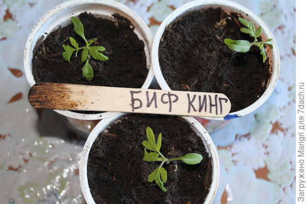 28.03