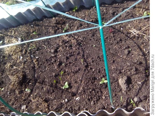 длфИмазшфыВ