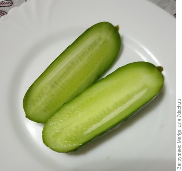 Первый огурчик