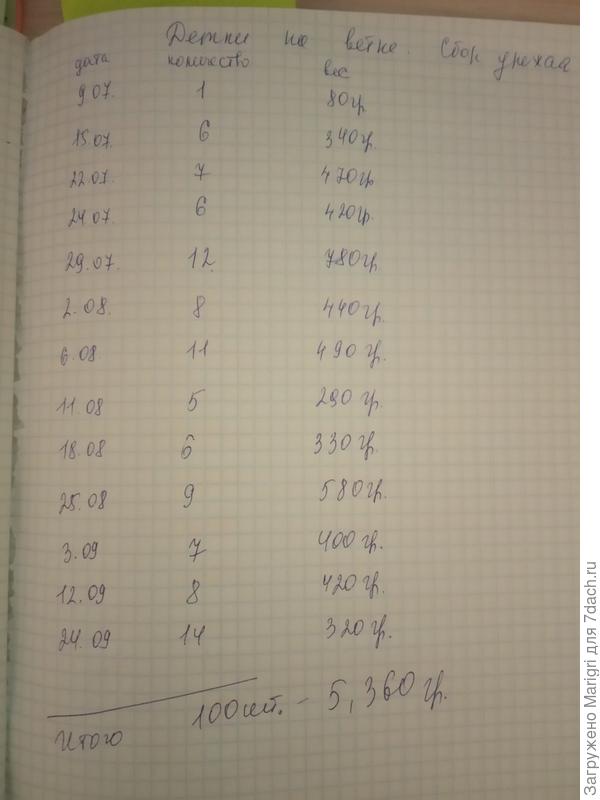 учет