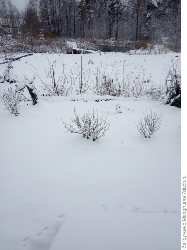 А вот так сегодня