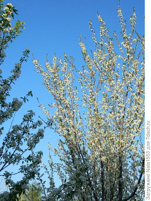 Белый на высоте... :)