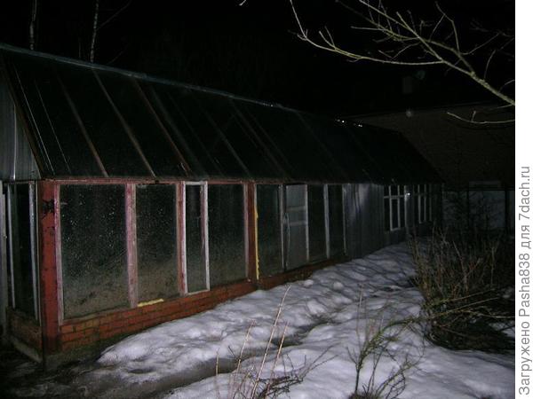 старая фотка зимой