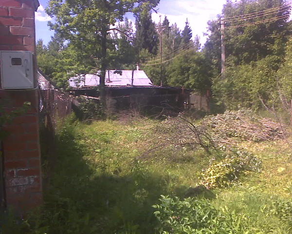 Вот этот клочок тоже будет отдан козам. Несколько лет тщетно пытался превратить его во что-то путное, сажая то вишни, то картошку - чет не растут там. Надоело, решил использовать как запасный выгул для живности. Правда две вишни и слива прижились, но их я просто отгорожу сеткой, да и всё.