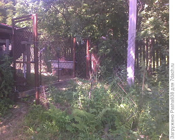 Этот бардак у нас тоже в собственности, но там чуть дальше железобетонные плиты лежат (когда-то это думалось как запасной заезд), я не стал мучиться и просто отгородил этот клочок. На той части бытовка с как попало пристройками - там рабочие обитают, за забором. Если вдруг по этому прогону пойдут элктрики к столбам - там калитка. А козы не выйдут (надеюсь).