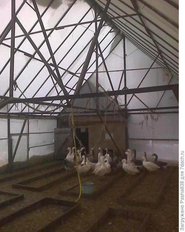 Рёбра жесткости, опоры, распорки. Главное их так разместить чтобы они ходить не мешали. Горизонтальные балки, идущие через всю - сделаны выше уровня головы.