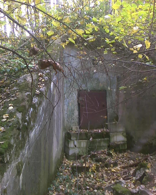 Тут есть в лесах вот такое. Будь я побогаче, я бы, наверное, как-нить исхитрился это оформить или хотя бы арендовать на 49 лет и сделал бы себе там шикарнейший погреб. Старый советский бункер ПВО. Железобетонная конструкция, обвалованная землей. По параметрам выдерживает прямое попадание тяжелой фугасной бомбы.