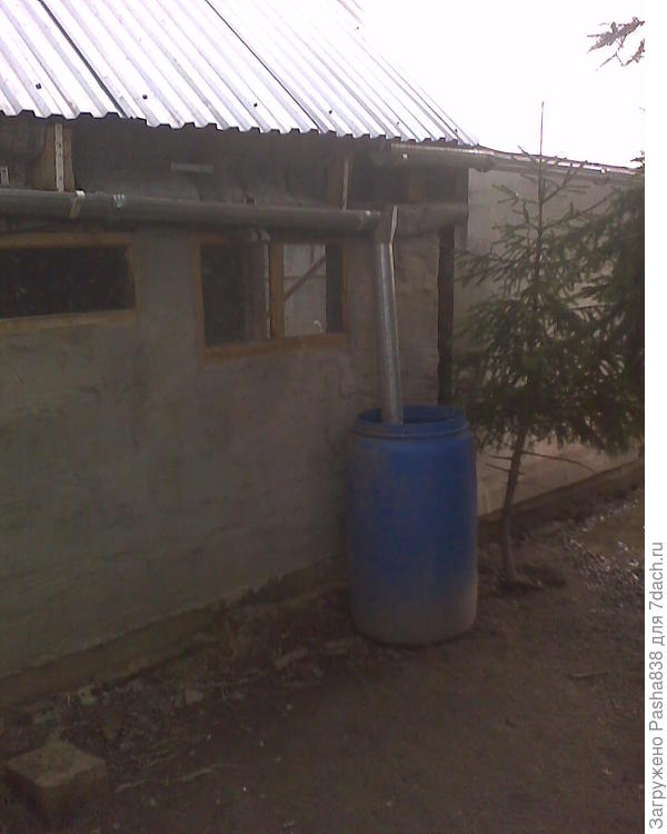 Гусиный домик возле теплицы