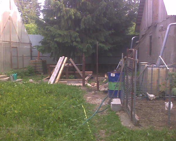 Сарай для убоя со столом для разделки. Столбы будущего забора