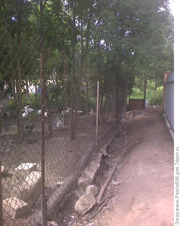 Двигаемся вперед, за сеткой территория гусей, а нам направо, калитка прямо - это на участок, в огород, козам туда не надо.