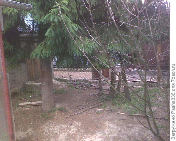 Проходим вдоль теплицы и приходим сюда. Здесь слева - дверца на территорию гусей (их домик и дальше выгул) прямо - калитка на прогон для коз, чтобы идти на выгул или улицу.