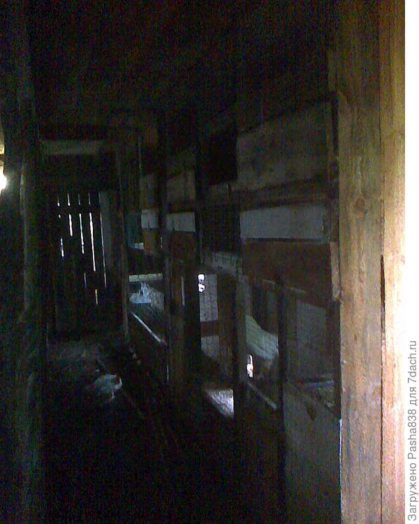 Открываем дверь в хлев. Вот это справа - куриные стеллажи, нижняя полка куриная, две повыше - для молодняка. Слева от этих полок по другую сторону корридора будущее козье место