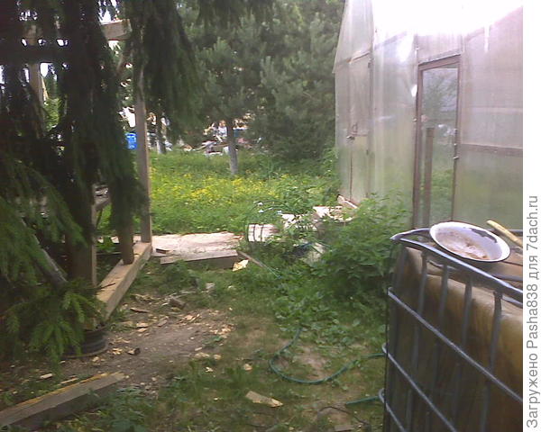 От бойни до теплицы (там столбик виднеется железный) будет зашито дощатым забором.