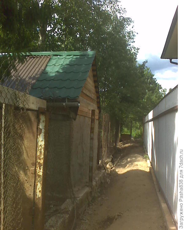 Вышли в калитку, здесь козий прогон. Раньше здесь были густейшие заросли дикой малины, крапивы и даже деревца, и канава для стока дождевой воды. Но канава пересохла, а всю растительность козы съели под ноль, даже траву. Слева - гусиный домик, приделанный к теплице, справа - соседский забор.