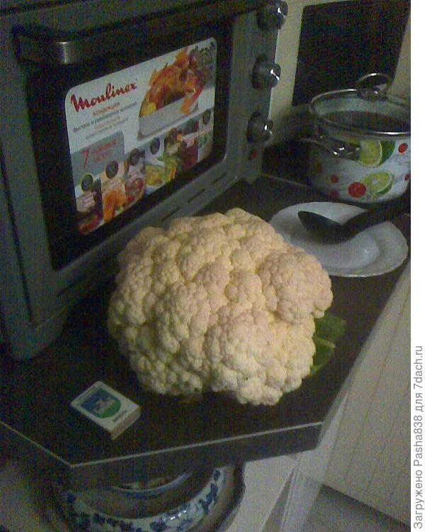 Ну чего, ну вот местная, например, цветная капуста. Чем она плоха, почему я должен отправляться в какие-то копенгагены, что я там вообще забыл?