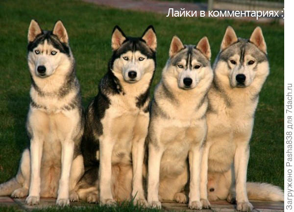 не знаю чо у вас там за разборки, но узбагойтесь ))