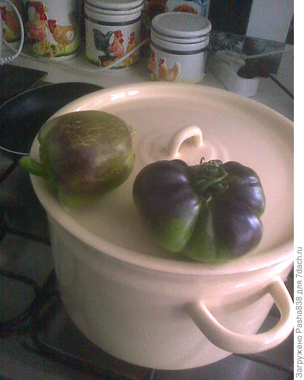 Зеленая помидорина (она потом дозрела лежа в диване в ящике) и перец колобок (сладкий, вроде болгарского). Причем это не гниль никакая, а именно фиолетовый такой вот цвет, как у баклажана. Правда баклажаны реально рядом росли, и было их много, разлеглись даже частично на дорожки.