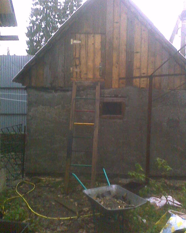 Склад зерна у меня на этом вот чердаке, туда ведет старая лесенка с детской площадки (у одного хозяина была детская площадка, но дети выросли и площадку за ненадобностью снесли, заменив не помню чем, то ли огородом то ли цветником).