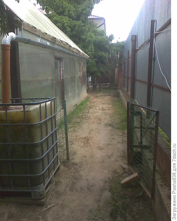 Козий проход за теплицей. Дверца сохранилась со времен, когда там ходили гуси, а сейчас по этой стороне ходят козы, а гуси с другой стороны живут. Ёмкость используется для полива (насосиком шлангом, в теплице по верху привязан шланг и свешивается в центре, и им можно достать до всех краёв, ходя по дорожкам. Я поливаю шлангом, мне так проще. Вода теплая. Такие ёмкости у меня везде где ни попадя, я со всех крыш воду собираю, во время ливней эти баки получаются полные, а потом стоят ну и я беру то из одного, то из другого - у меня целый набор насосов и я просто перетыкиваю их в проложенные шланги на разные места
