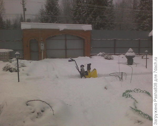 Вчерашнее фото. Снег хорошо прошел, все растения присыпаны-укрыты.
