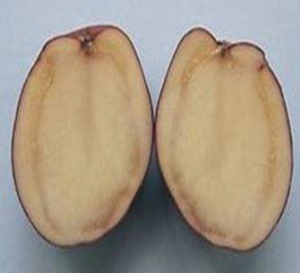 Фото из интернета. Это еще ничего. Потом эти полосы начнут гнить.