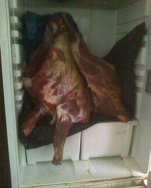 Выпотрошенная тушка среднего козла (не совсем здорового, но и не козленок уже). Делю обычно на две части (сначала), чтобы влезала в холодильник, а разделываю на куски через день-два, сразу это делать - мне как-то лень, не люблю авралом, люблю когда спокойно.