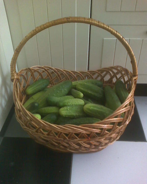 Завтра буду огурцы консервировать.