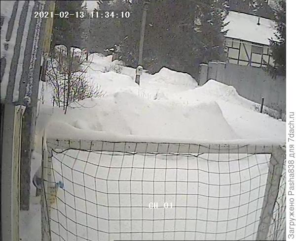 Эти ворота когда-то принадлежали другому дачнику, но он поставил их неподалёку от своего участка в лесу, расчистив там под футбольное поле площадку, лесники его наругали, в общем он то ли сбрагрил, то ли переставил эти ворота лишь бы куда, попросив моего отца их убрать, ну и теперь они стоят возле меня. Думали было поставить на общую площадку поселка, но там уже есть ворота. Да и если ставить где-то еще - это ж работа, там надо подбетонивать крепления, чтобы эти ворота не упали, а просто так ставить нельзя, вдруг они рухнут кому-нить по башке (уже где-то в каком-то городе был такой прецедент и ребенка убило). Ну в общем вот стоят, может отец решит куда их приделать. Дачник обратно как я понимаю не берет, не хочет связываться с лесниками.