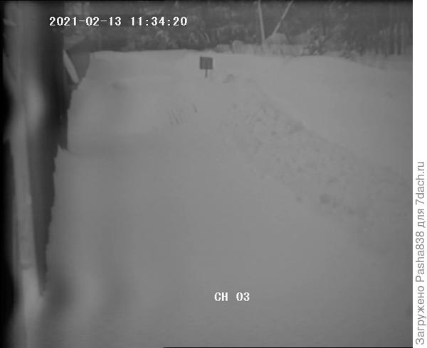 Дорога возле леса, как-то раз камера запечатлела даже лису. Черно-белая, древняя, я уж даже и не помню толком откуда она у меня. Забор дальше - это соседский. Вообще-то здесь грунтовая дорога, но её не чистят, потому что тут даже летом машины за всё лето проезжают раза два, а то и не ездят вовсе. Здесь мы иногда проходим с козами гулять в сторону леса и дальше.