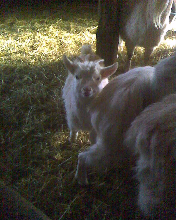 Присмотрелся. Хотя не, не очень похоже.