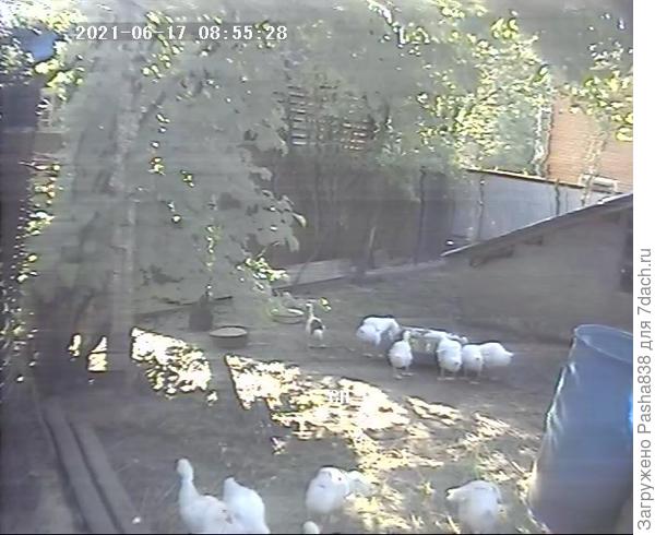 Взгляд в камеру видеонаблюдения.
