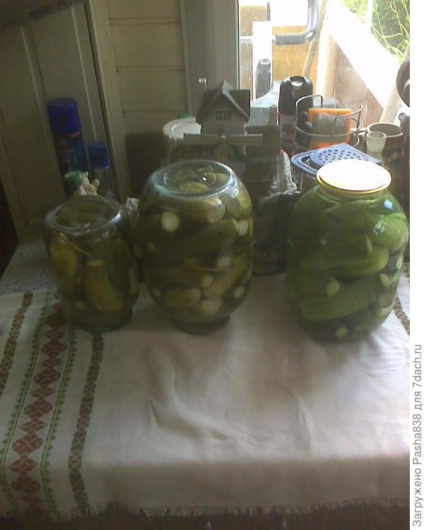 Эти вот укладывал я. Правая банка на фото не готова, была в процессе, суть в том, что я трижды кипячу, сначала выдерживаю 20 минут, налив воду из чайника, потом её переливаю в кастрюлю и, вскипятив, еще 10 минут держу, а далее уже в третий раз кипячу с сахаром, солью, черным перцем и под конец кипячения вливаю уксус. Мы кладем 50 г сахара, 50 г соли, 2-3 ст. ложки уксуса. Это в принципе минимум, просто родители не любят слишком соленое или острое. Правая банка еще не закатана (была).
