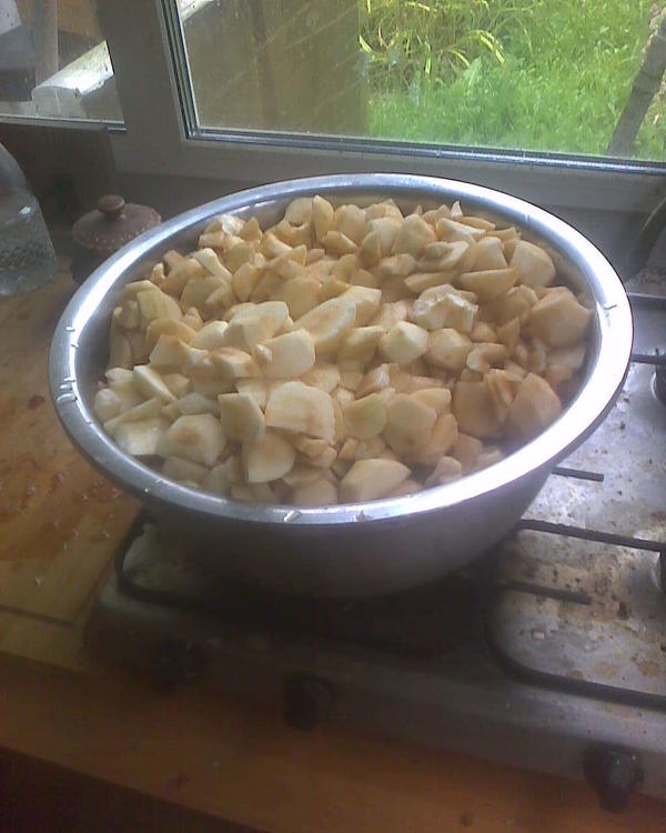 Чтобы наполнить эту миску, нужно перечистить два с половиной ведра яблок.