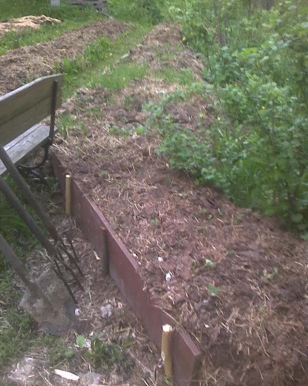 Такое вот художество. Какие-то доски сантиметров под 40 шириной, колья, и завалил это лежалым навозом, понасажал клубнику.