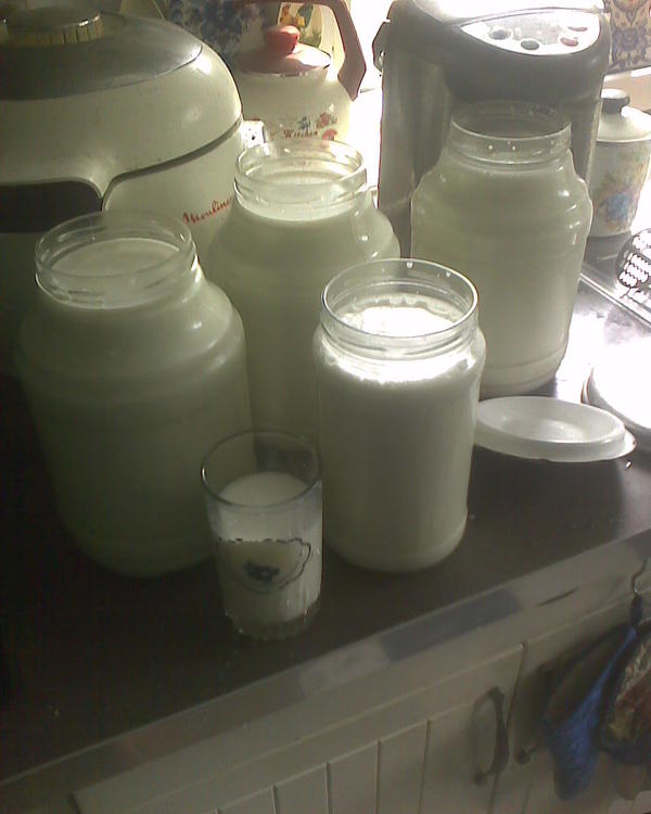 Дойка коз и её &amp;quot;последствия&amp;quot;