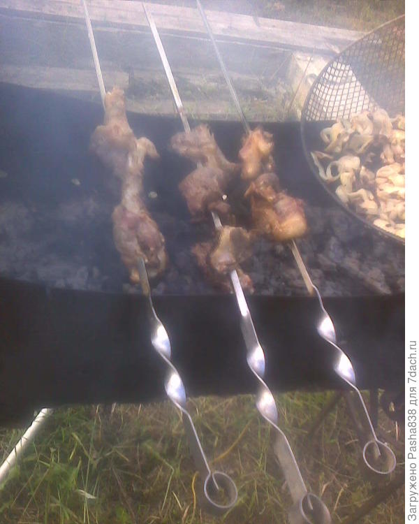 Гусиный шашлык. Вообще штука долгая, жир течет, прожариваются эти куски дольше курицы. Но на вкус неплохо.