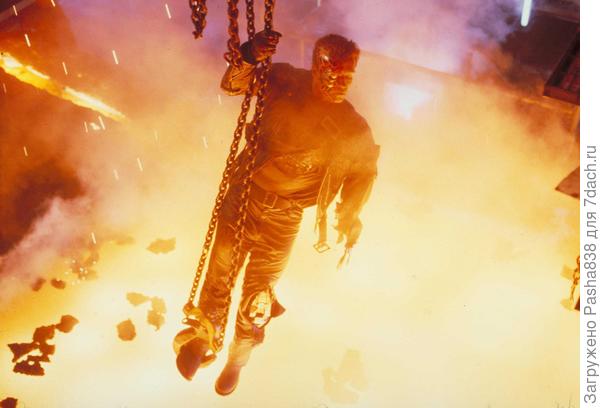 Но только не лес. Лес ни фига не забавно и не мило.