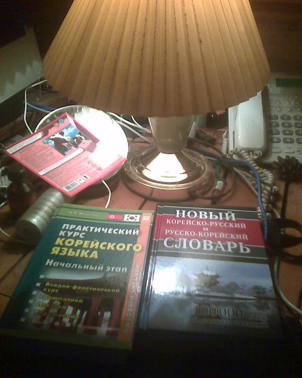 Учебник слева у меня был, я прихватил его когда-то давно в книжном магазине &amp;quot;на сдачу&amp;quot;когда закупался художественной литературой, мало ли, вдруг пригодится (я крайне редко выползаю в город за покупками), ну он полежал несколько лет почти не используемый, а сейчас понадобился. Ну и чтобы было попроще, решил обзавестись словарем. Неплохая книжка, в районе 100к слов. Изучать язык начал только-только, сейчас учусь читать )) Это чистой воды хобби, связанное с досугом - есть у меня привычка в интернетике листать комедийную корейскую манхву (комиксы), но англоязычный перевод выходит с опозданием на несколько глав, а русскоязычного и вовсе не дождесься, ну мне надоело и я решил выучить язык.