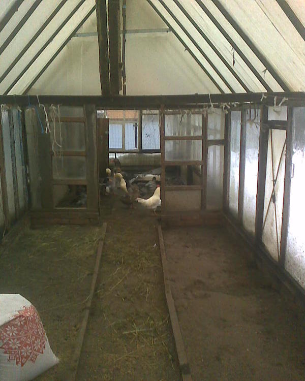 Другая теплица. Она раньше была вдвое короче, потом я её достроил дальше, просто продлив. Часть стекол и дверной проём остались, хотя саму дверь я за ненадобностью давно снял.