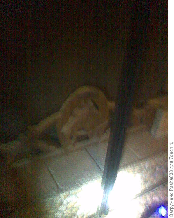 попробовал фонариком посветить при фотографировании.