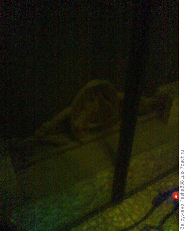 Вот такая чугунная лошадь-решетка. Телефон у меня правда так себе фотографирует, но надеюсь более-менее видно.  Когда я строил камин, мы купили две таких лошади,  ну и вторая вот лежит как раз для печи-шашлычницы, о которой я уж лет двадцать думаю ))) Естественно, для шампуров я могу просто пустить по горизонтали еще какую-нибудь железку с прорезями.