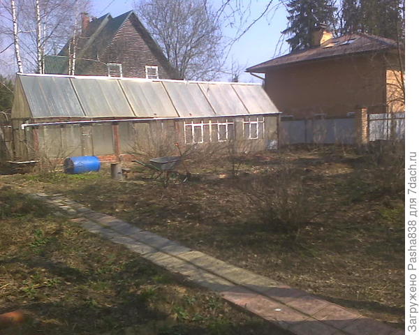 А там вот у правого угла теплицы - была грядка в 1,2 м шириной, когда-то заваливаемая навозом. Там, за рядом крыжовника, идущего параллельно теплице, в эту грядку я думаю посадить пару кустиков черной смородины, как раз отсадить туда. Т.е. еще 3 черных смородины буду сажать. А барбарис поедет в левую сторону участка, там у забора тоже есть хорошее место, и тоже когда-то заваленное компостом и навозом. Там вполне солнечно, думаю ему там будет хорошо. Дорожка на фото - бетонная, из плиток, признаться, разной судьбы - от б/у дорожки соседки, которая её выкинула, до остатков разноцветных плиток 30х30 которые я где-то клал по участку, но осталось ни то ни сё и как раз на дорожку до теплицы. Скромно, но вполне удобно. Поставил вчера водосток к чугунной ванне у теплицы, пусть набирается вода для полива. Рядом валяется синяя бочка - как ванна наберется, ну поставлю её рядом, буду в неё отчерпывать лишнее, что ли. В теплице летом растут помидоры, сейчас там обитают утки.