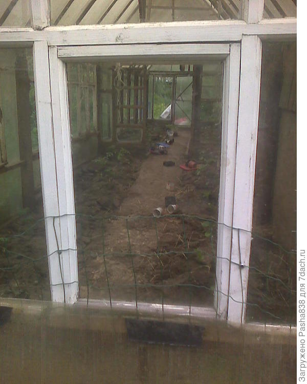 В этой теплице посадил, правда стаканчики пустые убрать не осилил, при случае сгребу. Что одноразовое - на растопку, а что долгоиграющее - на следующий год, в мешок и на чердак хлева или гаража.