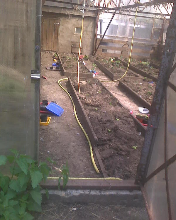 Взгляд со входной двери. Левую сторону, кстати, надо будет снаружи мыть, а то я только изнутри вымыл, а снаружи весь поликарбонат грязный. Там гуси просто брызгаются ну и всё замызгано. Буду мыть, только не уверен что сегодня.