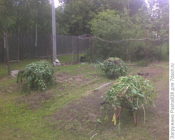 Была трава...