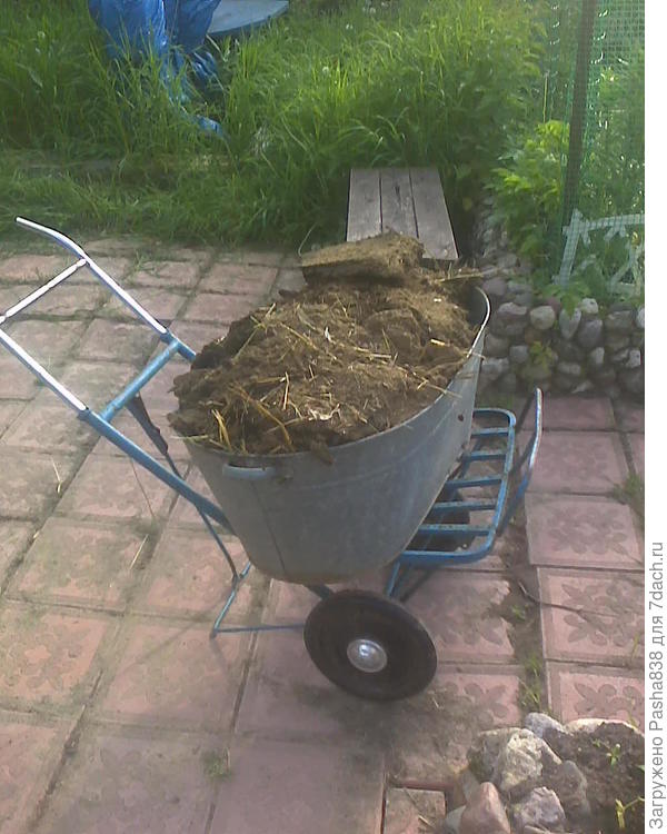 Навоз козий